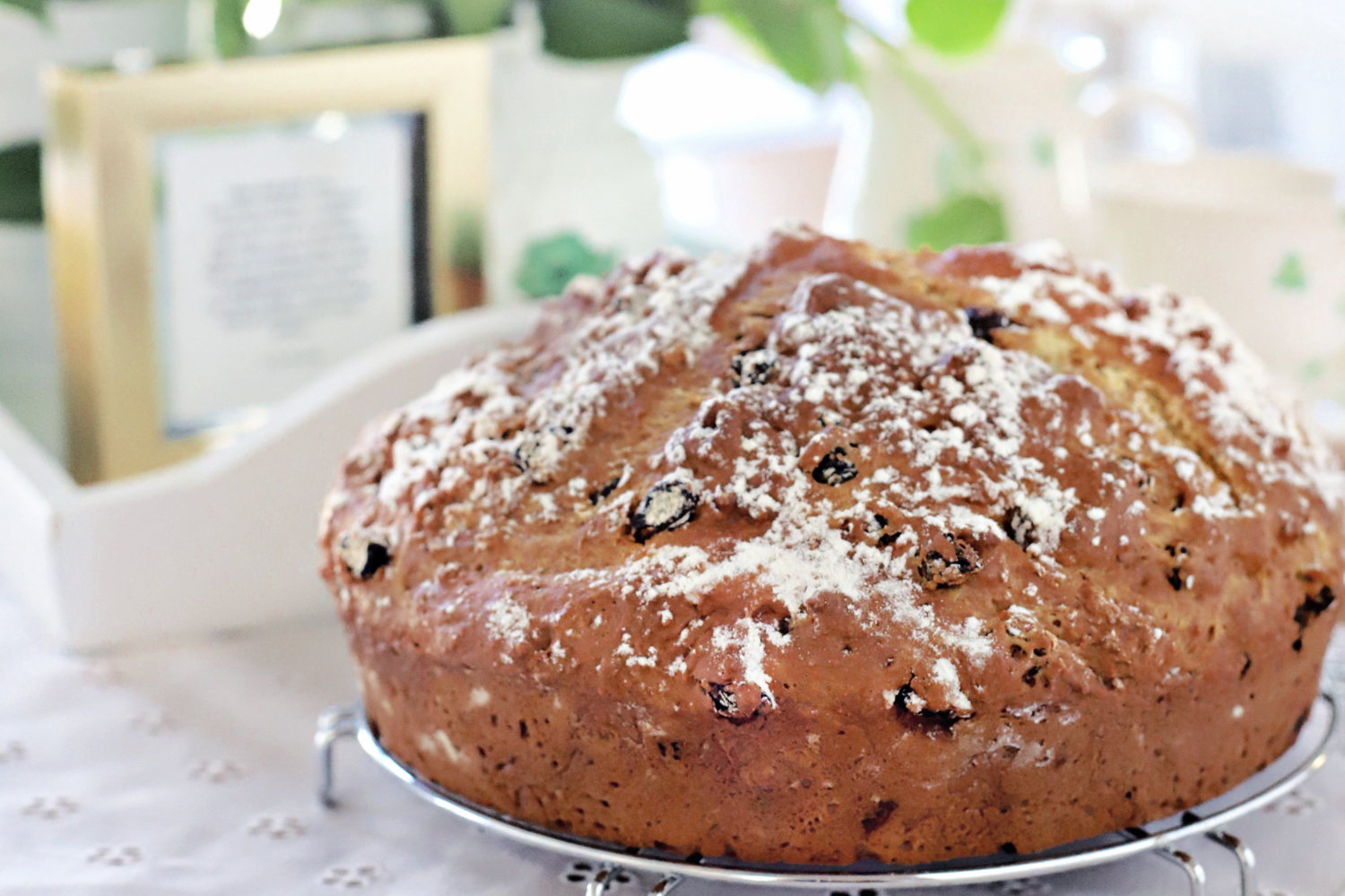 Large loaf of Irish soda bread for St. Patrick's Day