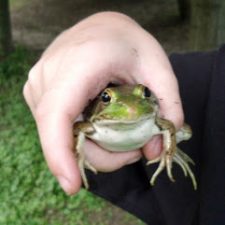 A Boy and A Frog