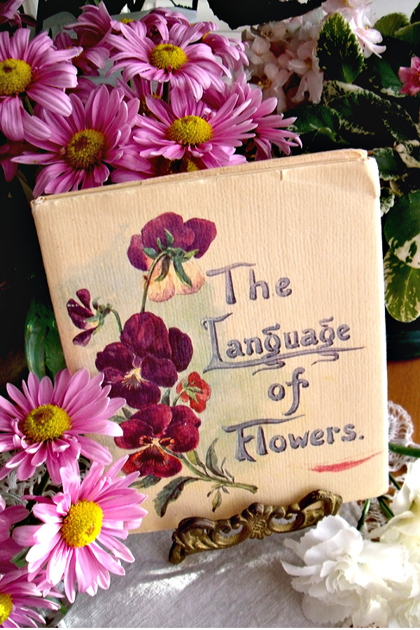 The Language of Flowers, written by 'Father' to 'Mother' August 8, 1913, is a sweet little dictionary of over 700 flowers and reminiscent of a gentler era.