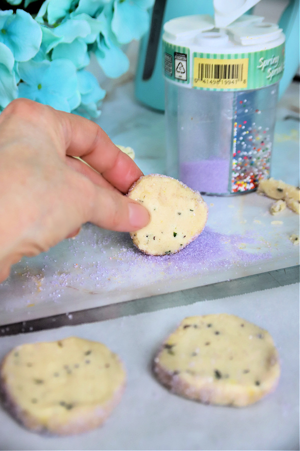 Rolling the sliced lavender shortbread cookie dough in colored sugar for French Sables.