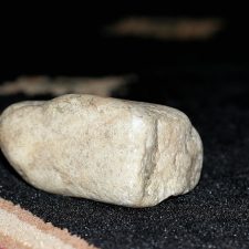 Rock Collector ~ Our Miniature Schnauzer brings home rocks