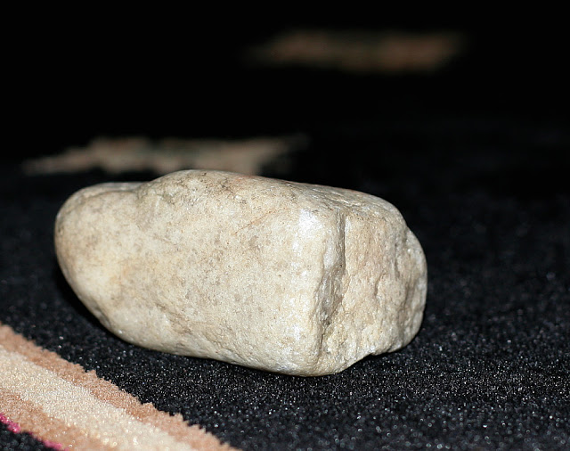 Rock Collector ~ Our Miniature Schnauzer brings home rocks - Grateful Prayer | Thankful Heart