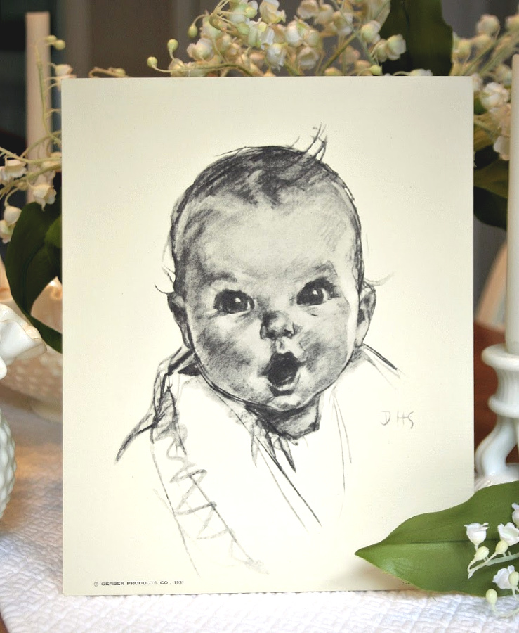 The Gerber Baby by Ann Turner Cook