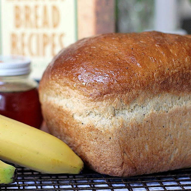 Don't toss out those extra bananas over-ripening on the counter. Very ripe bananas are a great reason to bake a loaf of Honey Banana Whole Wheat Bread. Banana, honey and poppy seeds give this bread a light, fluffy texture.Â Use a bread machine to make the dough then bake in a loaf pan or let the machine complete the whole process.