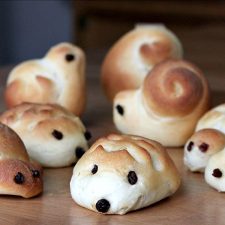 Hedgehogs and Turtles and Snails, Oh, My! Cute Yeast Bread Dinner Rolls