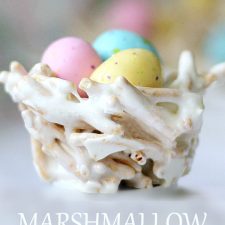 Easter Springtime Bird Nests