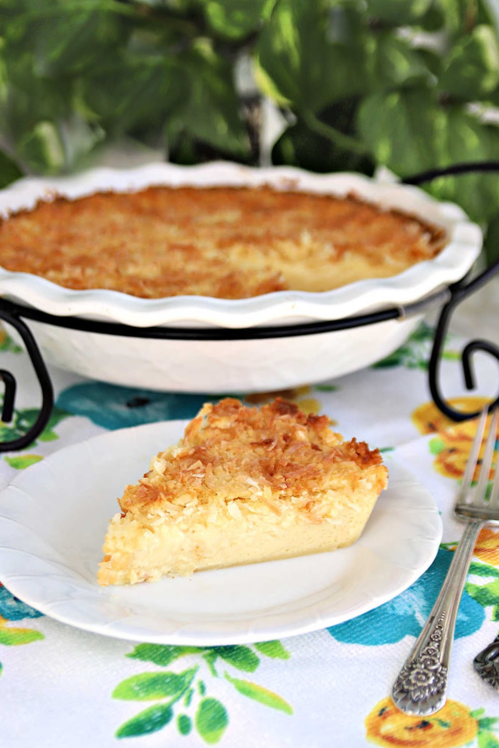 Super easy recipe that is delicious and always a favorite. Creamy Impossible Coconut Custard pie creates its own crust and takes just a few minutes to prepare. Add ingredients to a blender, pour into a pie pan, top with coconut and bake. It is that easy!