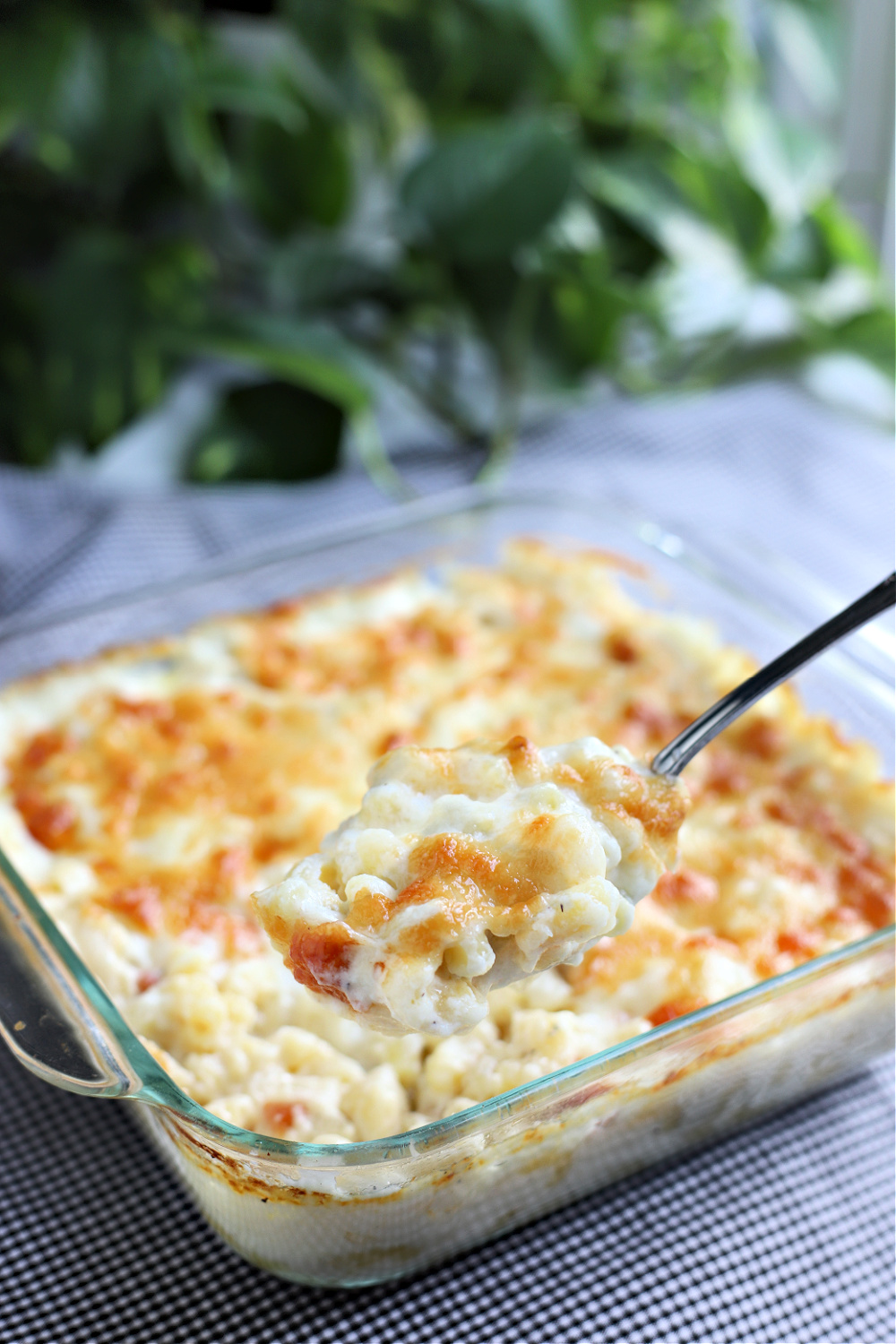 Cheesy homemade baked macaroni and cheese casserole