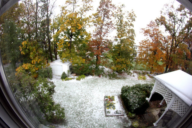 snow in autumn 