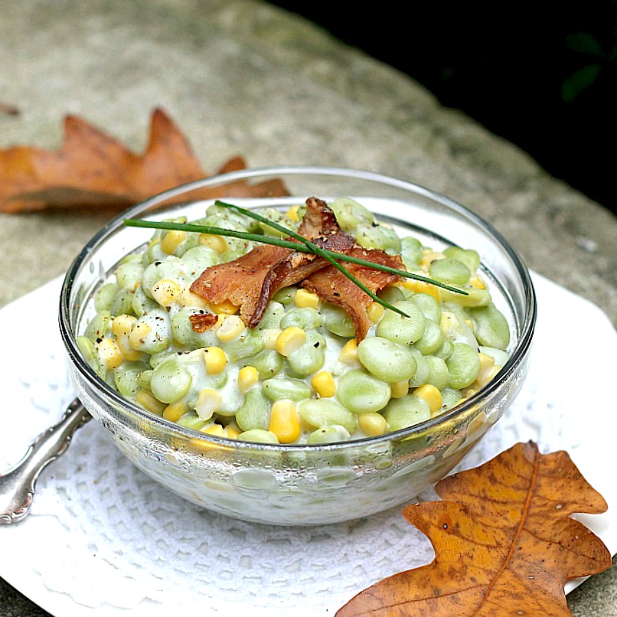 Don't turn away too quickly! Succotash is a combination of Lima beans and corn in cream and topped with bacon. It is a delicious Thanksgiving side dish. 