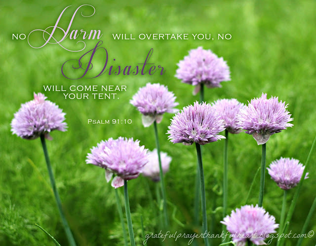 Psalm 91 is beautiful and encouraging, assuring us of God's protection and care. Each verse from this psalm is illustrated with a beautiful flower photo. Lovely to reflect on remembering we are not alone even through the hard things.