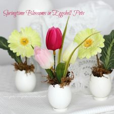 Springtime ~ Easter Flowers in Eggshell Pots