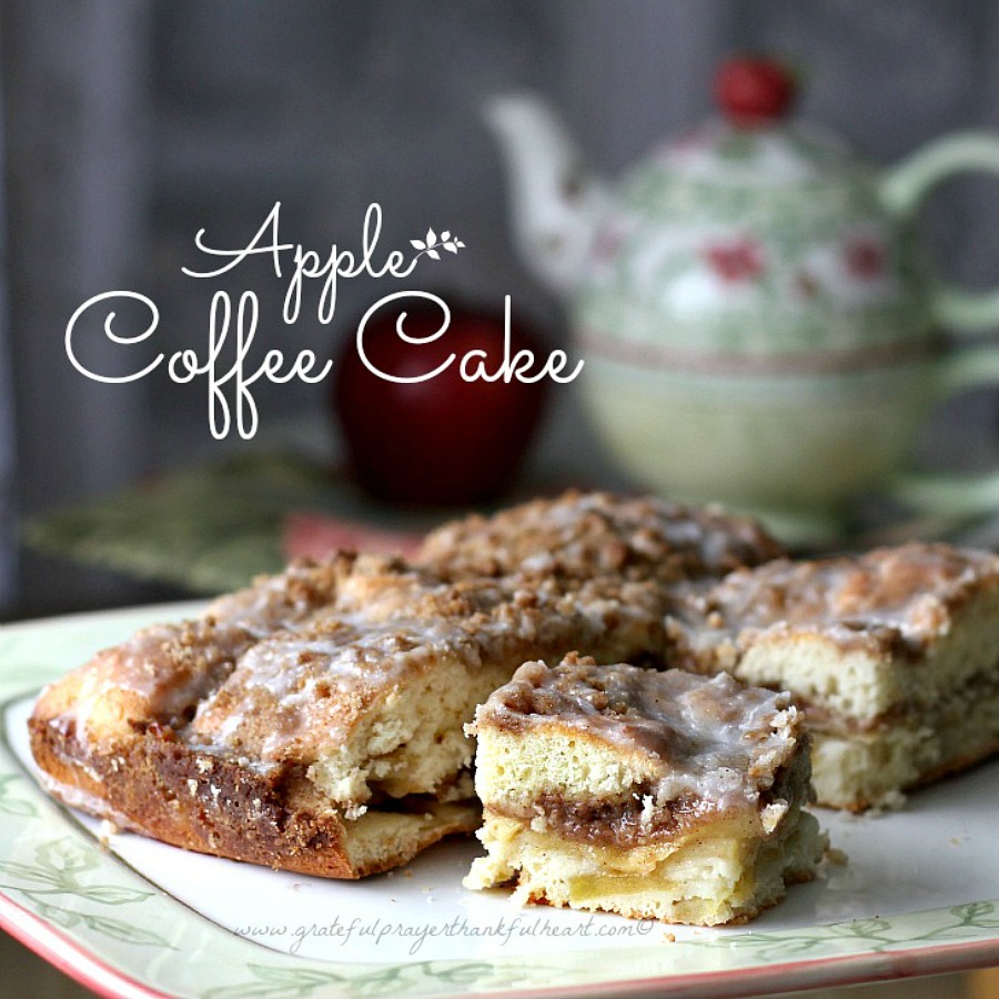 Easy and delicious apple coffee cake is a perfect treat for breakfast or snacking. Enjoyed on the porch with visiting grandchildren makes it even more special.