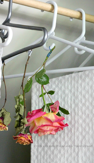 There's nothing lovelier than fresh cut flowers gracing your table or brightening a place in your home. But even after the blossoms begin to fade, you can continue to enjoy their beauty by drying them. This how to dry roses technique couldn't be easier. Use for crafts projects, embellishing gift packages and food gifts.