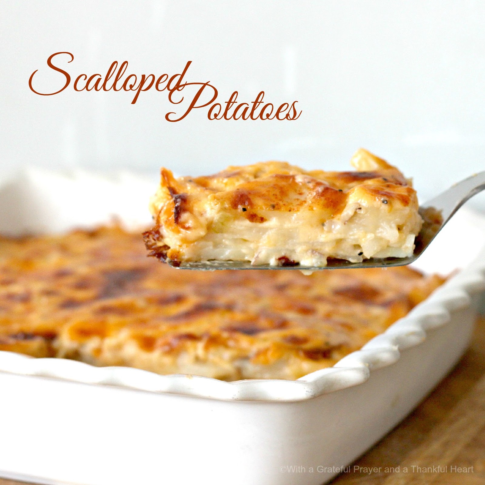 Scalloped Potatoes Grateful Prayer Thankful Heart 4131