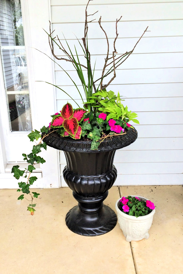 Redoing a garage sale urn was a DIY project that resulted in a beautiful, farmhouse style porch planter for spring garden flowers with lots of curb appeal. Shade loving annual coleus does exceptionally well.