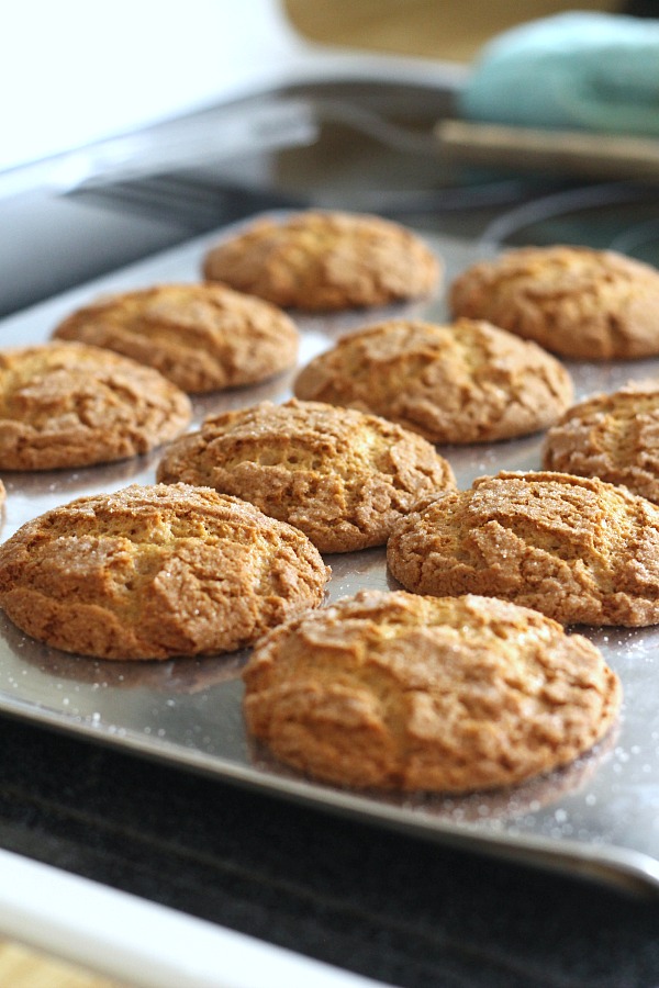 Lightly spiced Ginger Crinkles are a favorite when baking cookies with kids. Crunchy and crackled outside with chewy center. Perfect for autumn.