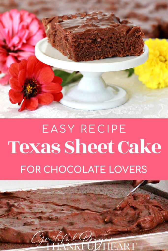 Easy recipe for a double chocolate Texas sheet cake for birthday and holiday celebrations.