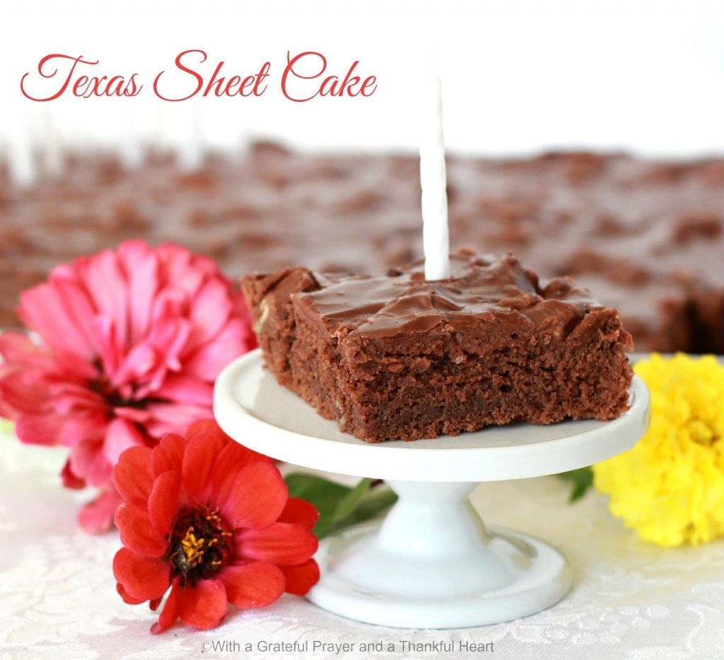 Easy recipe for chocolate Texas Sheet Cake with chocolate frosting tipped with nuts for birthday and holiday celebrations.