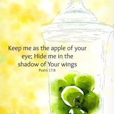 the apple of Your eye