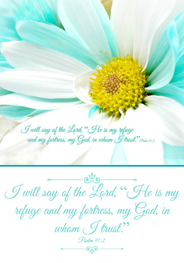 Are you good at memorizing Scripture? I am working at learning Psalm 91. Every verse is beautiful and so encouraging.