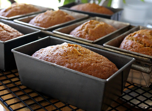 Delicious pumpkin quick bread full of cinnamon, nutmeg, cloves & ginger. Perfect mini loaves to share with friends. Bake ahead & freeze for Thanksgiving.