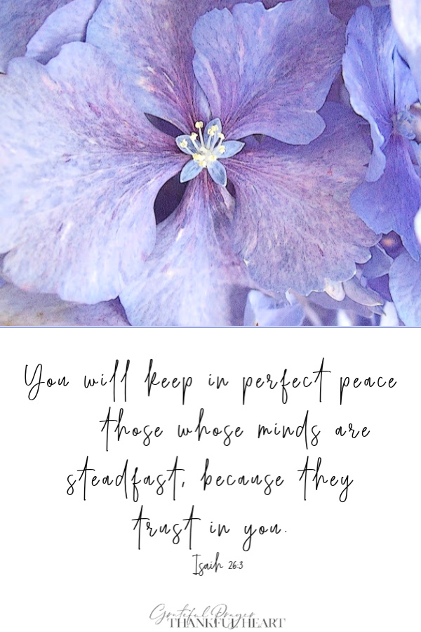 You will keep in perfect peace those whose minds are steadfast, because they trust in you. Isa 26:3 comforting Bible verse for fear and anxiety.