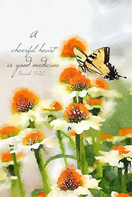 Graceful butterflies. A lovely swallowtail butterfly landed on a cone flower in my garden and it brought to mind a bible verse from Proverbs.
