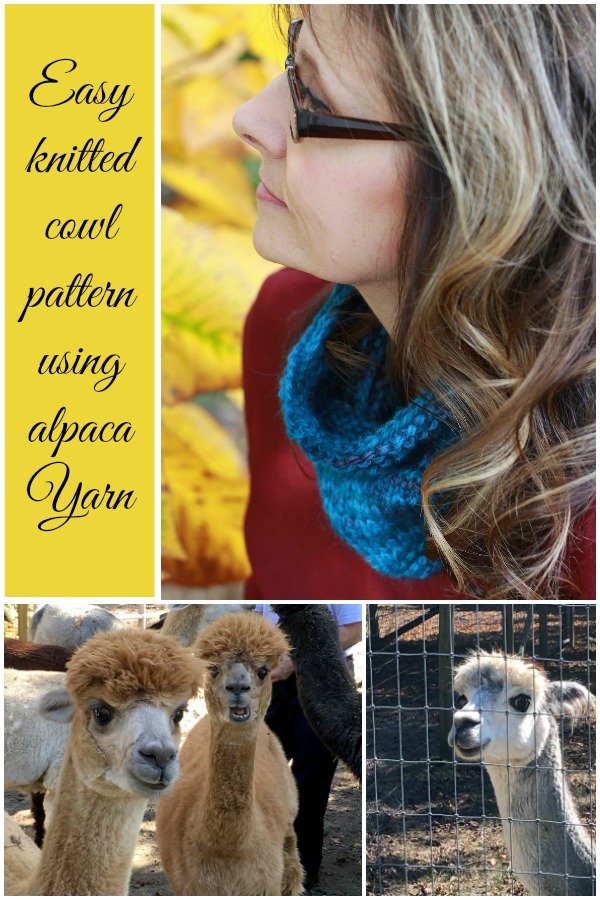 Here is a very basic and quick-to-make cowl that is stylish and warm. It is made from alpaca yarn  but can be made from your favorite yarn. Warm and stylish!