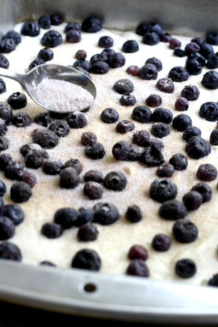 Easy recipe for Blueberry Boy Bait. Tender crumb texture cake loaded with berries and a lightly crunchy cinnamon sugar topping. Classic, vintage recipe.