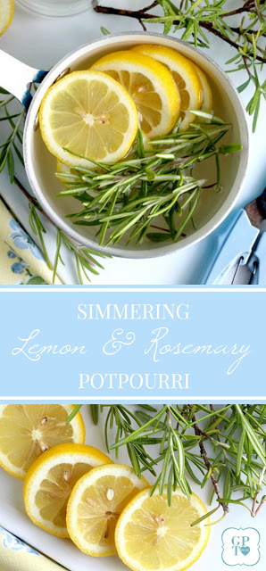 Rosemary is a perennial herb and easy to propagate from stem cuttings to make more plants. Rosemary infuses lots of flavor in cooking but it also is a lovely ingredient in this light and clean-smelling, simmering potpourri. Learn to propagate rosemary and make a simmering potpourri from it.