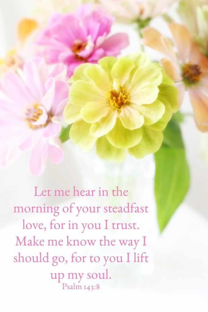 Let me hear in the morning of your steadfast love, for in you I trust. The Way I Should Go