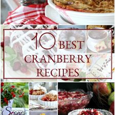 10 Best Cranberry Recipes