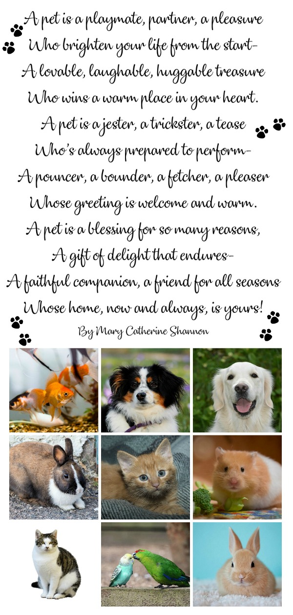 Those that have and love their pets don't need a special day to celebrate them. They are well aware of the fun, love and companionship pets bring. But, since today is National Pet Day, an unofficial holiday, I thought I'd share a FREE printable poem and some quotes.