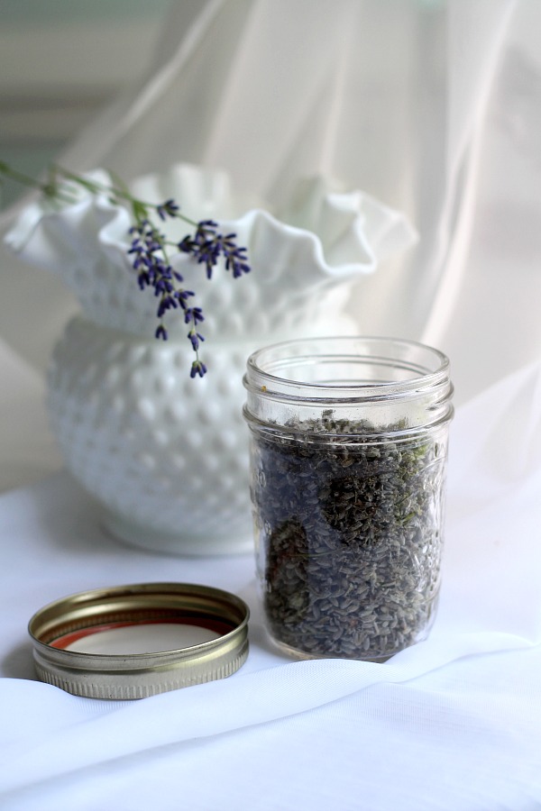 A fragrant and lovely herb, find sweet lavender growing tips, how to harvest and recipes using culinary lavender.