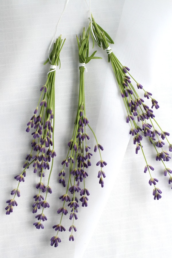 Oh, it is that  time of year again when sweet lavender is blooming in the garden. I have just one plant yet it gives me plenty of flower buds from each stem. Lavender is a fragrant and lovely herb. Learn growing tips, how to harvest and enjoy recipes using culinary lavender.