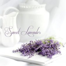 Sweet Lavender