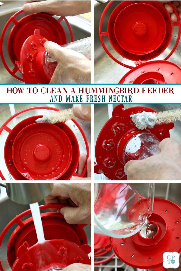 How to make your own hummingbird nectar with this easy recipe that attracts these fascinating, tiny birds who can fly at speeds greater than 33 miles per hour and flap their wings 720 to 5400 times per minute when hovering. Easy how to for cleaning feeders.