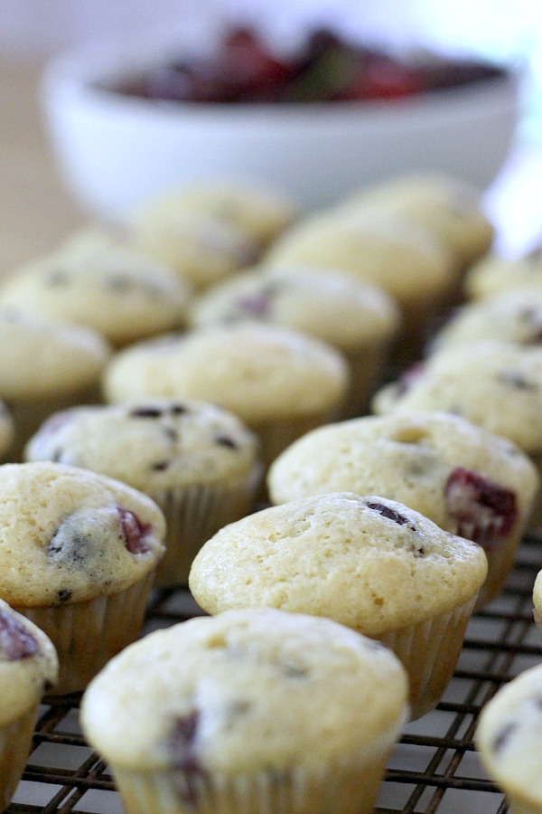 Both cherries and chocolate chips are folded into the batter of these delicious glazed Cherry Chocolate Chip Muffins. Perfect breakfast or snacking treat.