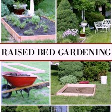 Raised Bed Gardening Tips