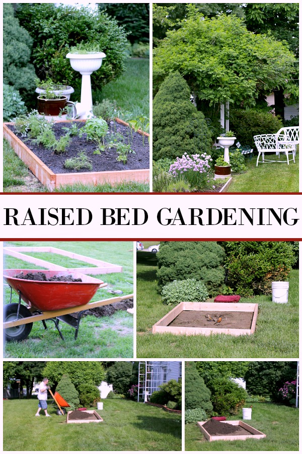 Raised Bed Gardening Tips for enjoyable and productive kitchen herbs, flower and vegetable growing in a small space. Fun and rewarding experience for kids too.