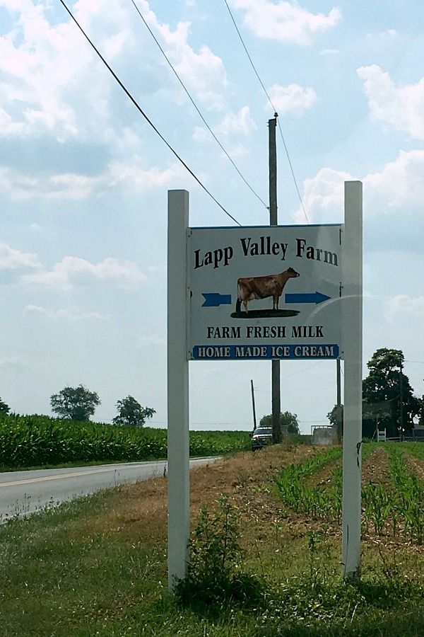 Lapp Valley Farm is a must visit when in the Pennsylvania Dutch area. Meticulously kept Mennonite farm in New Holland, Lancaster County with scenic grounds and rich, homemade ice cream. View the Jersey cows, pet the calves and meander around this lovely farm.