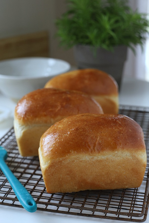 Toasted, buttered, as a sandwich or for sopping up gravy or soup, homemade bread is amazingly satisfying. This very easy potato bread works for breakfast, lunch and dinner. 