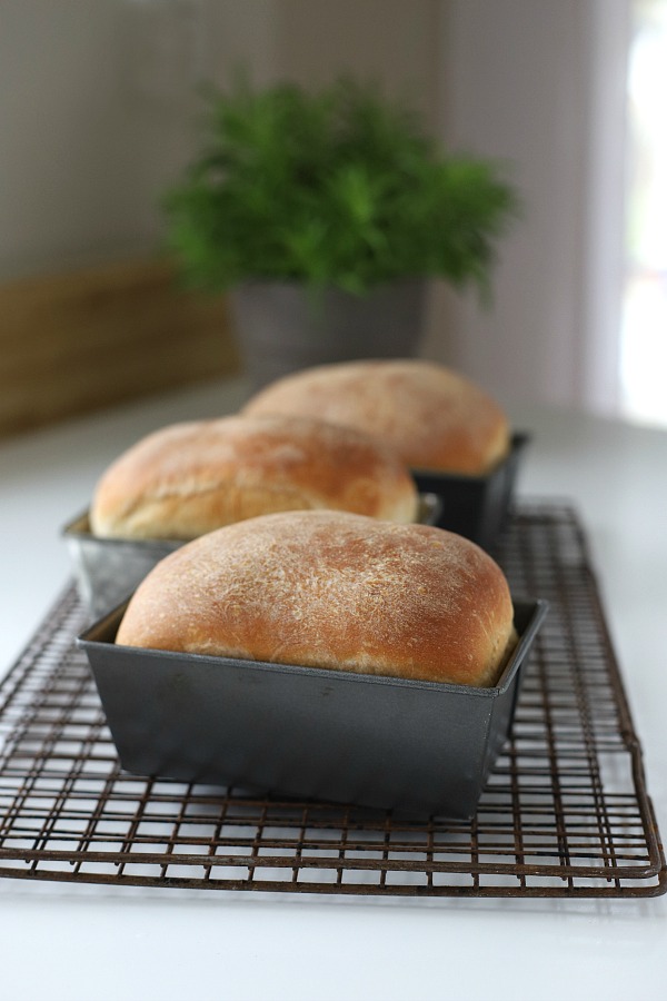 Toasted, buttered, as a sandwich or for sopping up gravy or soup, homemade bread is amazingly satisfying. This very easy potato bread works for breakfast, lunch and dinner. 