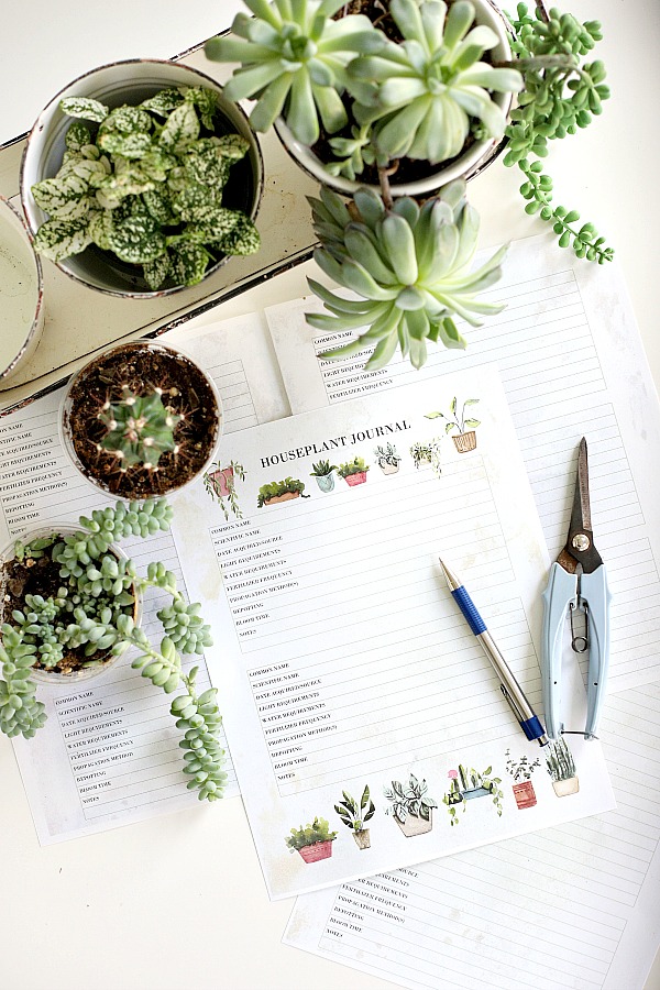 Keep your indoor plants healthy and thriving. Record and track light, watering, fertilizing and care requirements in this free houseplant journal download. Great for beginners to record purchase date, re-potting, blooming and all important notes.