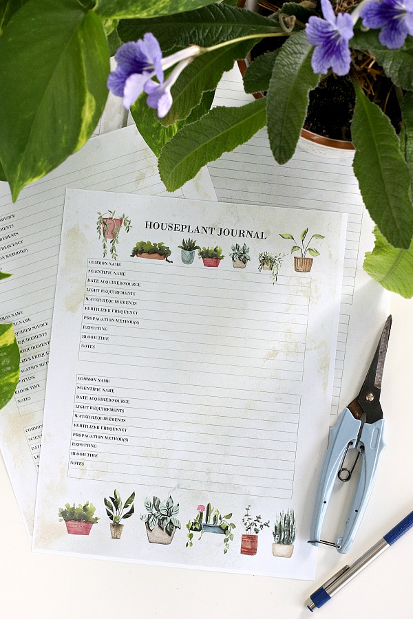Super useful plant journal for keeping track of indoor houseplants and the care each one requires for healthy and beautiful growth. Perfect for beginners wanting to learn and enjoy each new plant acquired. Free printable download.