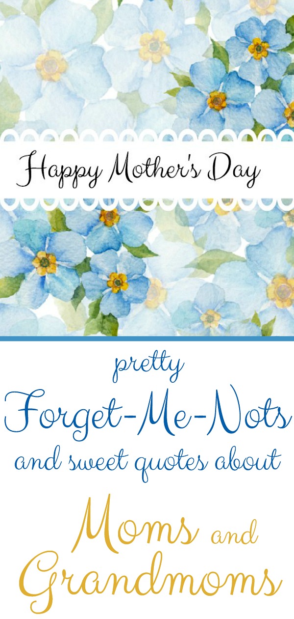 Mother's day inspiration quotes on strength, encouragement and hope we have received from Grandmom or grandmother and Mom.
