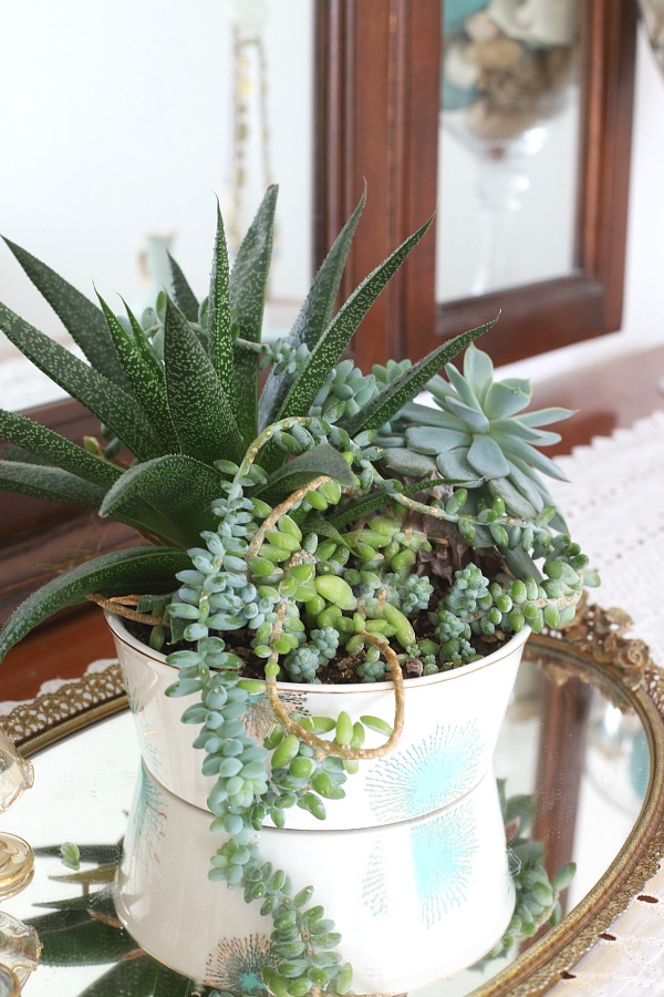 Living with houseplants carries many benefits. It can relieve stress as well as produce joy and accomplishment as they flourish and grow. Filling your home with plants creates a warm and inviting environment. Many require little care, low-light conditions and are easy even for the beginner.
