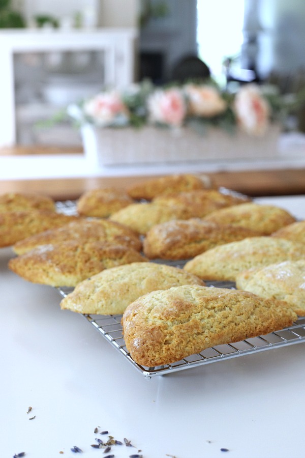 A hint of lavender gives sweet lavender scones a unique and lovely flavor using lavender buds from the herb garden. A light glaze makes them perfect.