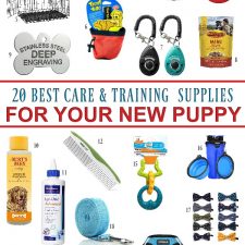 New Puppy Shopping Guide